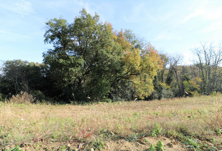 Immobilier de luxe à Toulouse