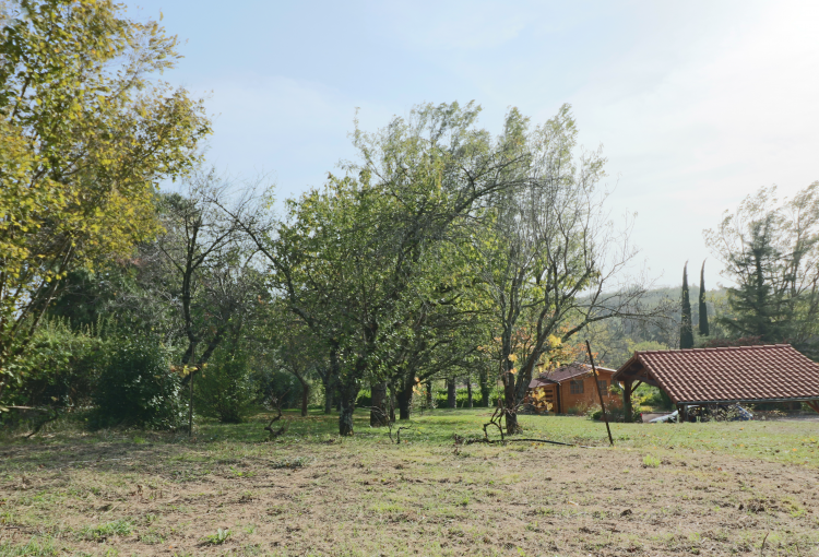 Immobilier de luxe à Toulouse